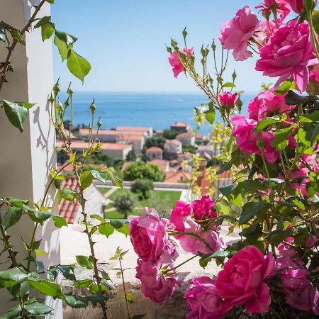 Apartment Faros Dubrovnik Kültér fotó